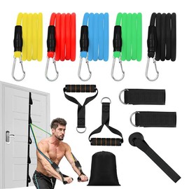 Resistance Bands Set for Men and Women - Exercise Bands with Handles, Door Anchor, Ankle Straps - Perfect for Heavy Resistance Training, Physical Therapy, Yoga, Home Workouts - Shape Your Body - Style: 12-in-1 Set