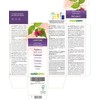 Raspberry (Rubus idaeus) Leaves Alcohol-Free Mother Tincture Naturalma - Liquid
