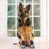 Medical Therapeutic Double Sided Non-Slip Cotton Dog Socks | PawFlex