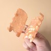 Funny Acrylic Capybara Hair Clips,Cute Acrylic Animal Claw Clip,Small Claw