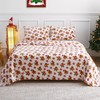 Viviland Christmas Holiday Plush Fleece Queen Bed Sheets, Fuzzy Polar