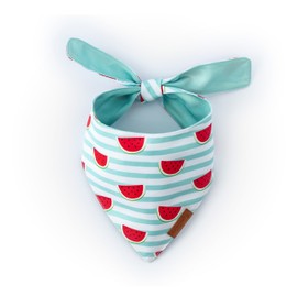 Paws Boutique Premium Dog Bandana/Scarf | Design: Tasty Watermelon Treat | Reversible Dual Layered/Sided | Small, Medium & Large Pets | Unique Style | Accessories for Puppies & Dogs (M)