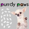 Purrdy Paws 1 Year Supply Soft Nail Caps for Dog