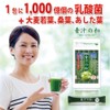 大日ヘルシーフーズ 青汁の和 1袋（3g×10包） 乳酸菌 大麦若葉 桑の葉 明日葉 配合 スティックタイプ 青汁