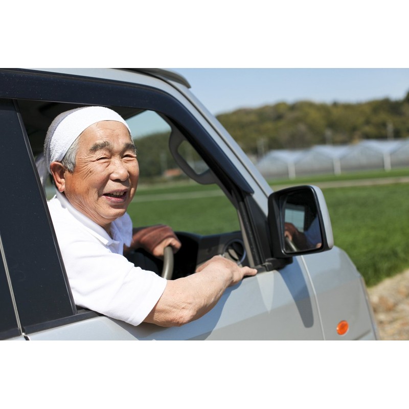 Elderly Mark Magnets, Set of 2