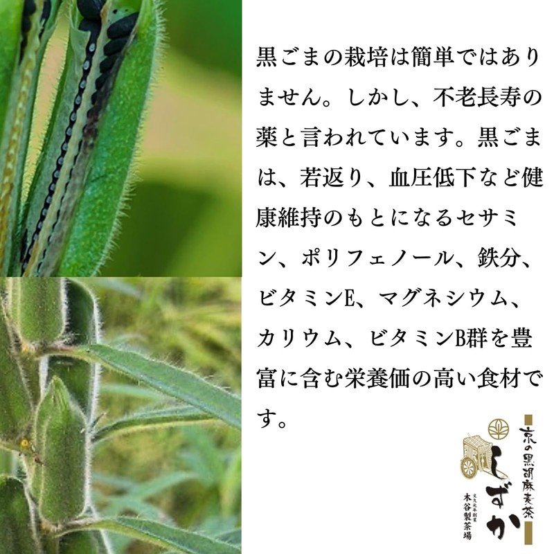 Kyoto no Black Sesame Barley Tea Shizuka 0.2 oz (7