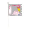 LITE G-12 Competition Flag