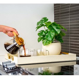 Modern Elegant 18"x12" Rectangle Cream Glossy Shagreen Decorative Ottoman Coffee Table Perfume Living Room Kitchen Serving Tray with Gold Polished Metal Handles by Home Redefined for All Occasion's