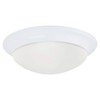Sea Gull Lighting 75434-15 Flush Mount with Satin Etched Glass