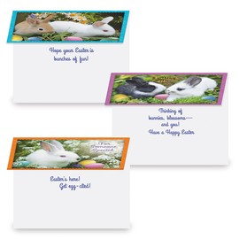 Current Photo Bunny Border Easter Greeting Card Set - Value Pack of 12 Cards for Kids & Adults With White Envelopes, 12 Design Prints, Large 5" x 7" Greetings