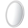 Miss Sweet 10X Magnifying Mirror with Suction Cup Suction Mirror