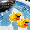 Dog Pool Float, Funny 6-in-1 Inflatable Dog Floats for Pool,