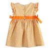 Lil cactus Orange Gingham Ruffle Pumpkin Bow Dress, 18-24 Months