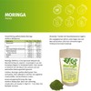 Moringa Oleifera Powder Vegan Daily Diet (250 g (Pack of