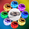 Mextronic LED Strip LED Strip 5050 RGB + White (6000K)