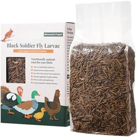 Natural Black Soldier Fly Larvae for Chickens, 85X More Calcium Than Mealworms-High Protein Grub Food Chicken Treats for Hens, Probiotic & Calcium Rich Chicken Feed, Bird Treat 1lb - Color: 1.1 Pound (Pack of 1)