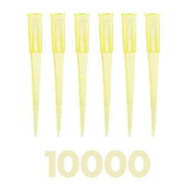 Kashi Scientific 200uL Pipette Tips, Kashi Scientific Universal Non-Filter Tips for Pipette 200 uL, Sterile Bulk Pipette Tips with Clear Graduation, 200uL Pipet Tips, DNase RNase Free,10000 Tips/Case - Yellow