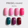 PRE GEL カラーZ リボンピンク 3g PZ-005M