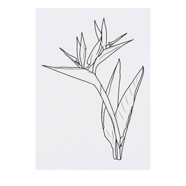 'Bird Of Paradise Flower' Temporary Tattoo - Water Resistant, Skin-Safe, Non-Toxic Transfer (TO00058489)