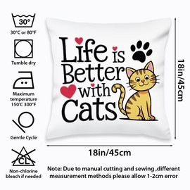 SDFBFVSA 2 Pcs Abstract Cats Throw Pillow Cover, Crazy Cat Lady Gifts for Women Cat Decor, Square Decorative Throw Pillow Case for Couch Sofa Bed Bedroom Apartment Dorm Living Room Office Home Decor