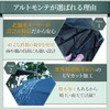 ALTMONTE Folding Umbrella, Memory Foam for Rain or Shine, Men's,