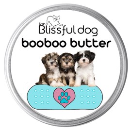 The Blissful Dog Havanese Boo Boo Butter, 1-Ounce