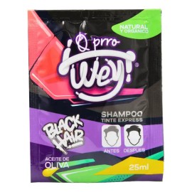 Tinte Shampoo Express Orgániconatural 10pz Cabello Negro Negro