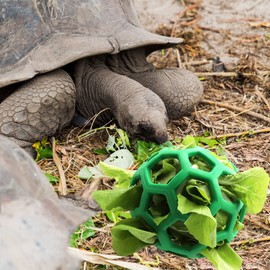 LODCZIOE Tortoise Treat Ball Toy Hay Feeder Ball, Feeding Grass Ball for Tortoise Turtle, Fruit Vegetable Feeder Holder Foraging Toy for Small Animals Pet