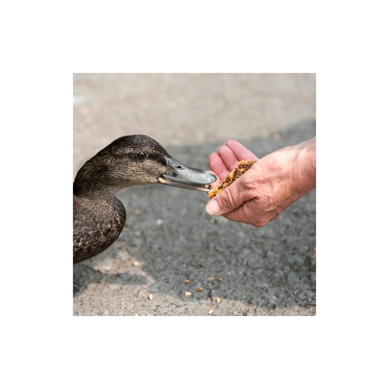 MEZCLA DE SEMILLAS P/PATOS 1 KG
