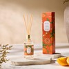 Airkeep Reed Diffuser Oil Set with Reed Sticks,Citrus Aromatherapy Oil