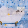 Pet Shower Caps, Swimming Cap for Cat Dog, Waterproof Bonnet,