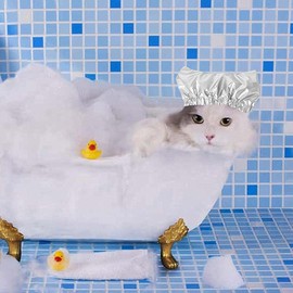 Pet Shower Caps, Swimming Cap for Cat Dog, Waterproof Bonnet, Waterproof Cap, Pet Shower and Bathing Accessories (A)