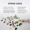 Hebbe - Fenoxietanol Conservador Antibacteriano y Antifúngico para Cosméticos, 500
