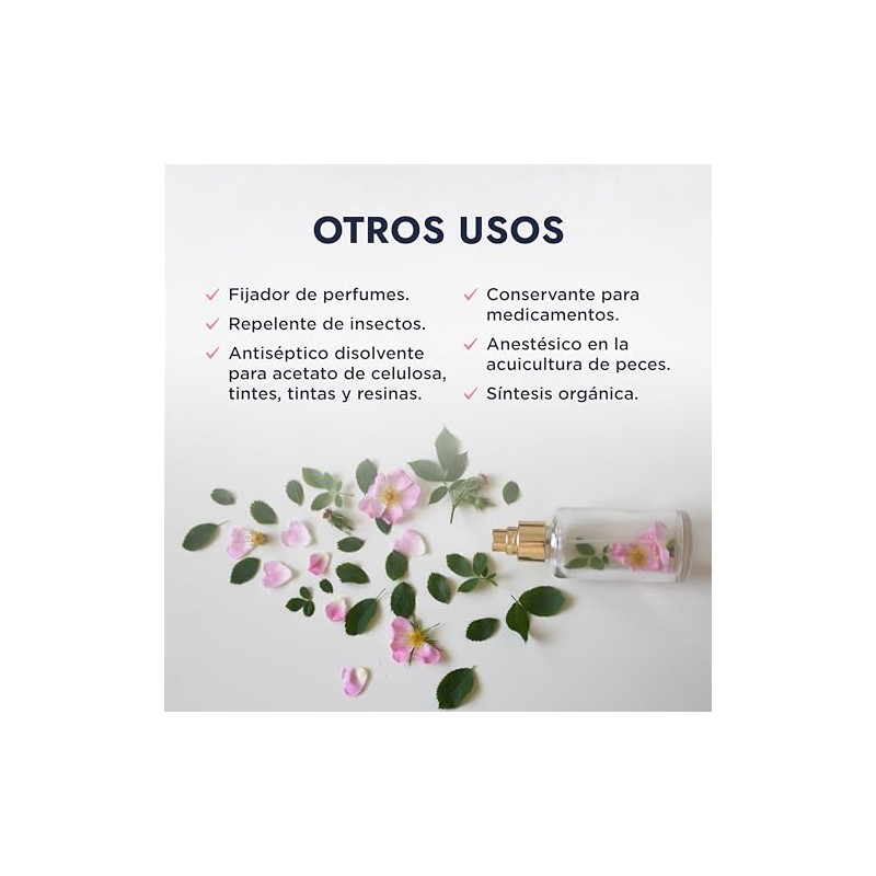 Hebbe - Fenoxietanol Conservador Antibacteriano y Antifúngico para Cosméticos, 500