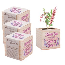 Cheersville! Desk Plant for Home or Office Decor - Growing Kit - Appreciation Plant Cube - Parent (Thank You for Helping Us Grow - 3 Pack)