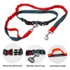 QitinDasen Hands Free Dog Leash, Grey Adjustable Waist Belt and