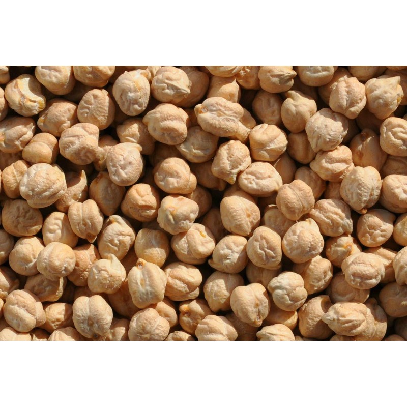 Garbanzo Beans, 10 lbs, Joseph's Grainery Garbanzo Beans (Chickpeas), All