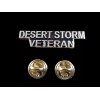 U.S MILITARY DESERT STORM VETERAN HAT PIN LAPEL PIN DSV