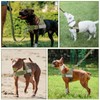 Eyein Dog Harness with Lead for Large and Medium Dogs,
