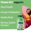 Yuve Vegan B12 with Calcium for Maximum Absorbption - Active