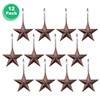 AGPtek Star Shower Curtain Hooks, 12PCS Anti Rust Decorative Resin