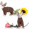 Hjyokuso Cat Jumper, Sphynx Cat Jumper, Cat Clothing, Soft and