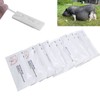Pig Pregnancy Test Strip, Pack of 10 Disposable Pig Pregnancy