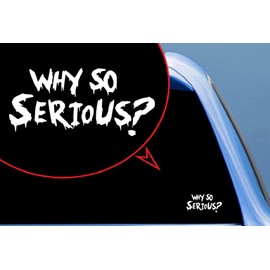 Why So Serious Decal for Truck, Funny, Tumbler, Window, Laptop, Phone, Home Decoration.
