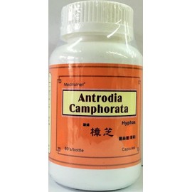 Meditalent Antrodia Camphorate Hyphas (60 Capsules) from Meditalent