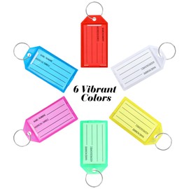 60 Pcs Plastic Key Tags with Labels Key Chain Tags with Split Rings Key Fobs Label Identifier Keychain ID Tag Name Tags (Multicolor)