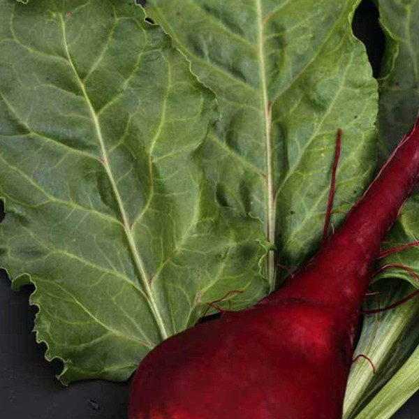 Lutz Green Leaf Beet Seeds - 2 g ~100 Seeds