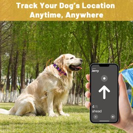 Taglory Reflective AirTag Dog Collar with Waterproof Airtag Holder, Dual D-Rings, Quick Release Buckle, Adjustable Soft Padded for Large Dogs Night Walking, Outdoor Tracking, Purple, L