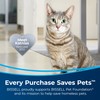 Bissell Pet Stain & Odor Plus Antibacterial 2 in 1