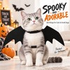 Black Bat Wings Pet Costume for Cats & Dogs –
